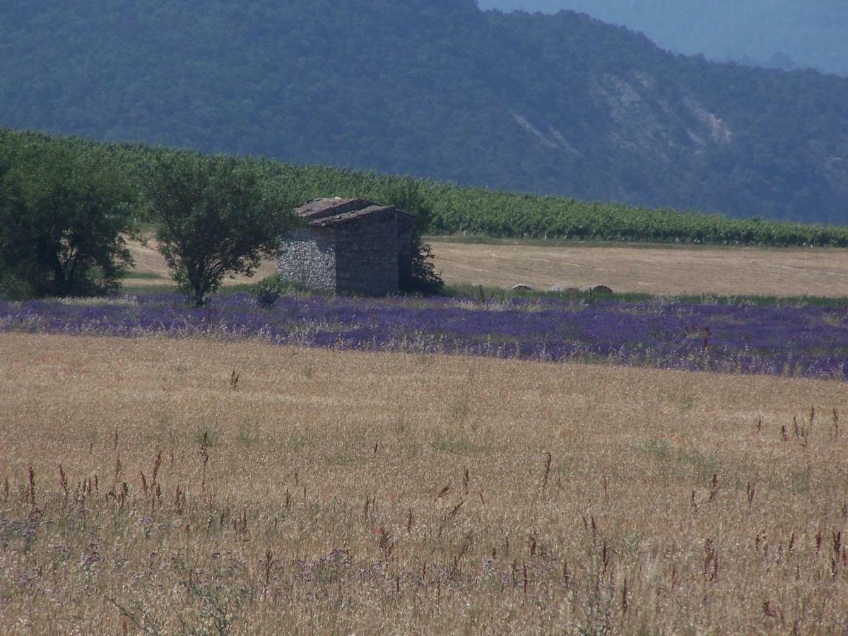 "Le Pigeonnier" Chambre D'Hote Piégros-la-Clastre 外观 照片